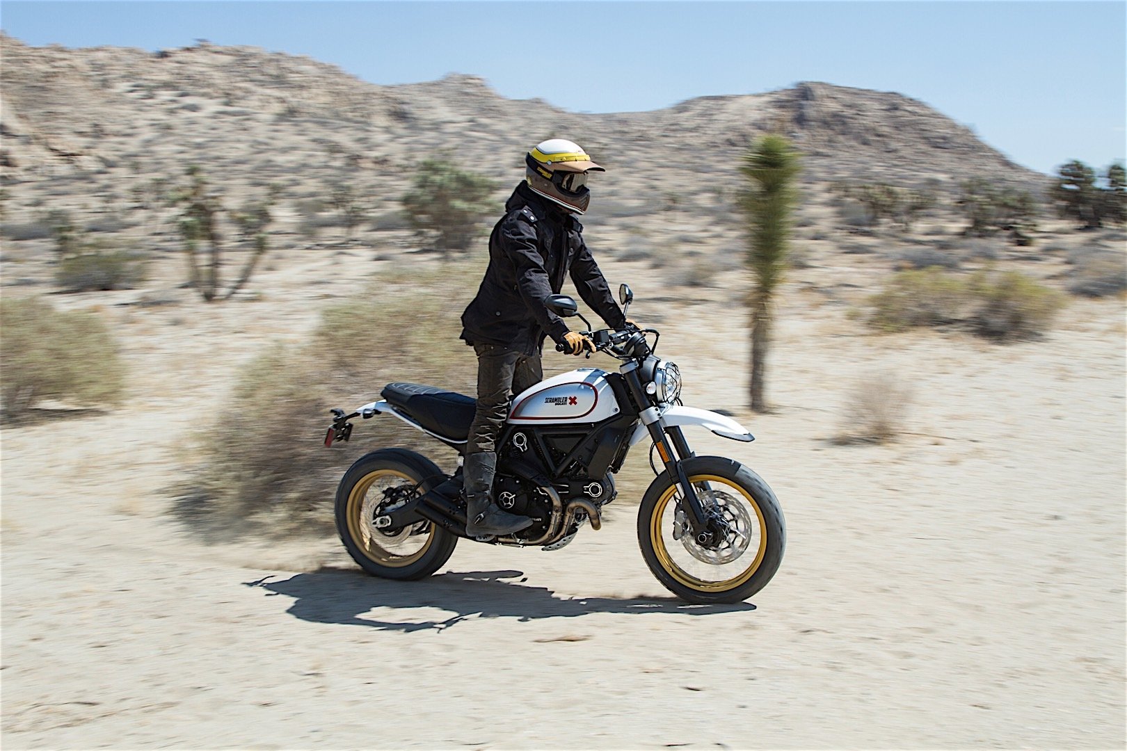 Ducati Desert Sled